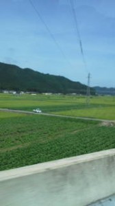 kurasuta-