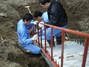 2012_0320(001)